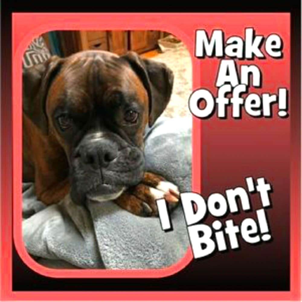Make me an offer or create a bundle!